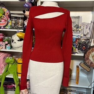 Forever 21 Red and White Knit Sweater